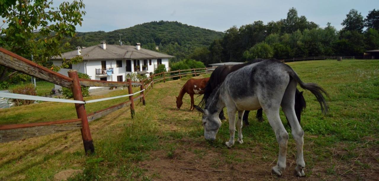 Bed and Breakfast Favetto Family Ranch Rueglio Exterior foto