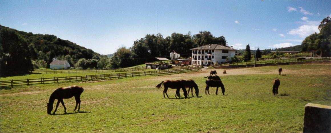 Bed and Breakfast Favetto Family Ranch Rueglio Exterior foto