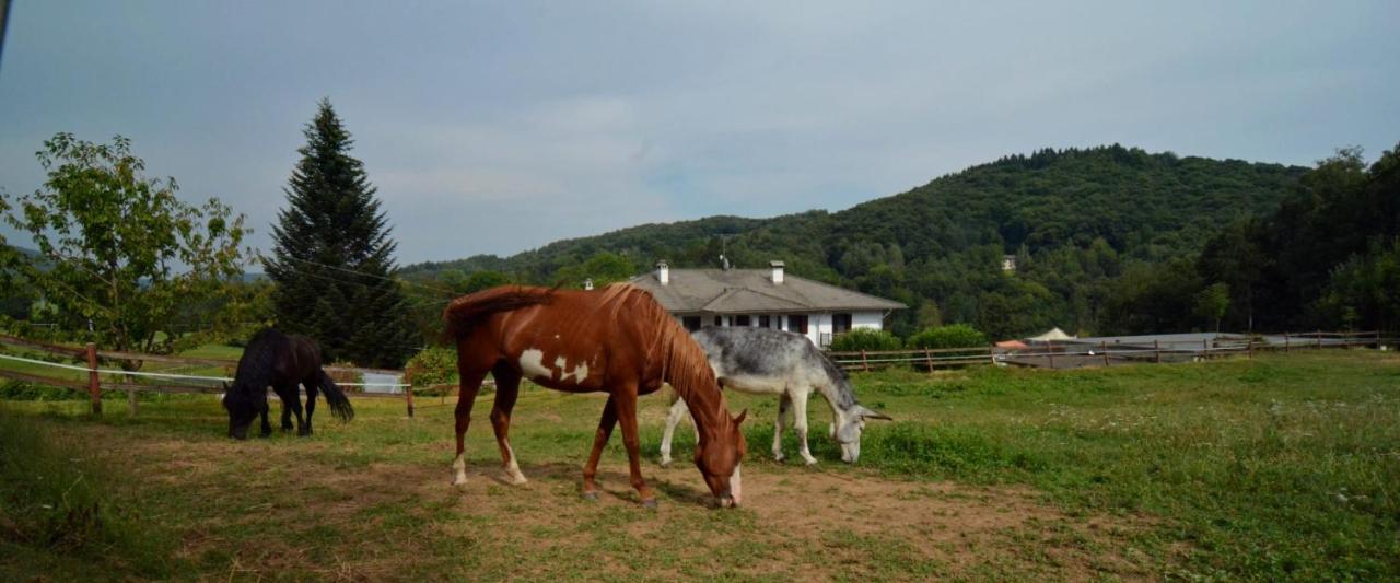 Bed and Breakfast Favetto Family Ranch Rueglio Exterior foto